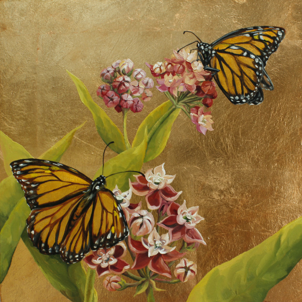 Monarch Kaleidoscope on Milkweed II