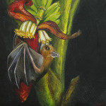 Greater Short-nosed Fruit Bat on Banana Flowers