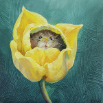 Harvest Mouse in Tulip