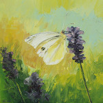 Cabbage White Butterfly on Lavender