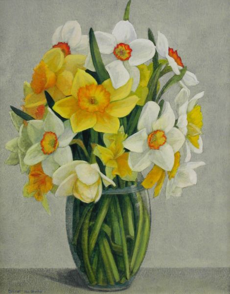 Bunch of Daffodils