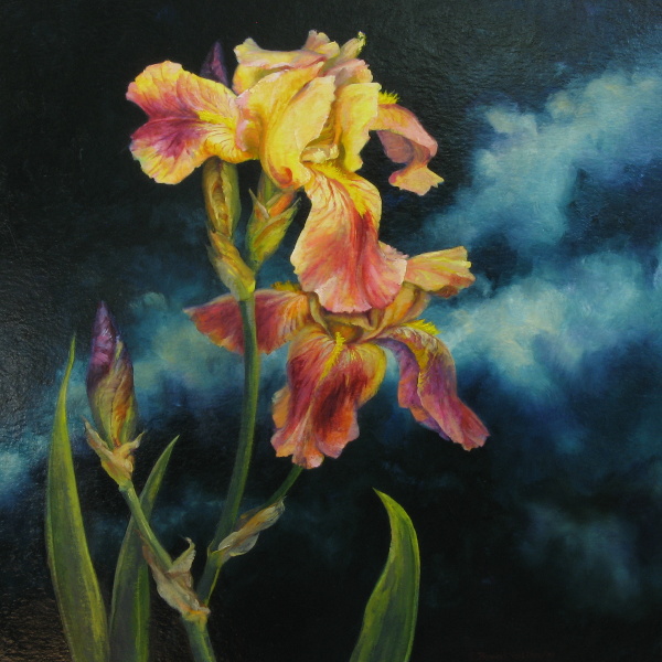 Evening Irises