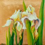Irises for Hope
