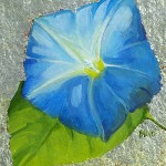 Morning Glory I
