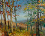 November Woods, Houghton Land Preserve