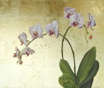 Orchid on Gold