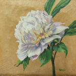 Peony for Good Fortune