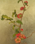 Quince Blossoms