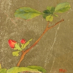 Quince Blossoms II