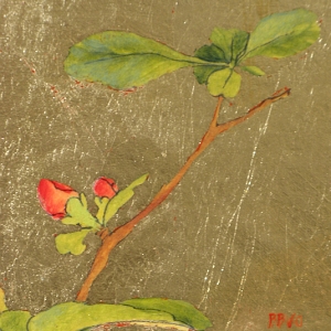 Quince Blossoms II