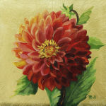 Red Dahlia for Perseverance