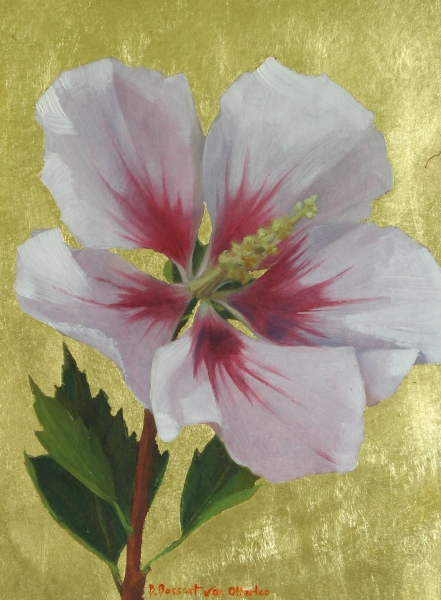 Rose of Sharon