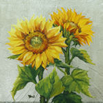 Sunflowers for Resilience