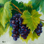 Vitis Vinifera (Pinot Noir Grapes)