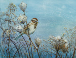 American Tree Sparrow in Winter Queen Anne’s Lace and Goldenrod