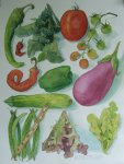 From the Garden