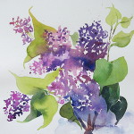 Lilac Study
