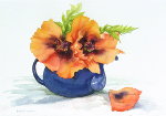 Poppies in Teapot