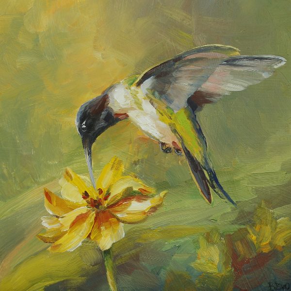 Ruby Throated Hummingbird and Calendula