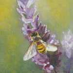 Honeybee on Lavender