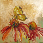 Variegated Fritillary on Echinacea