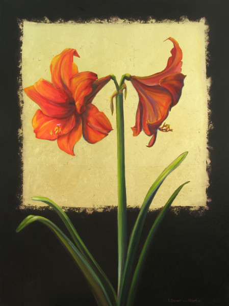 Amaryllis Couple