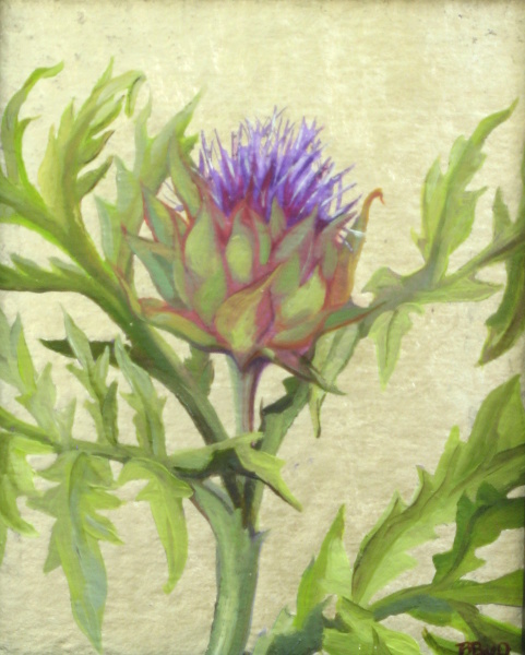 Artichoke