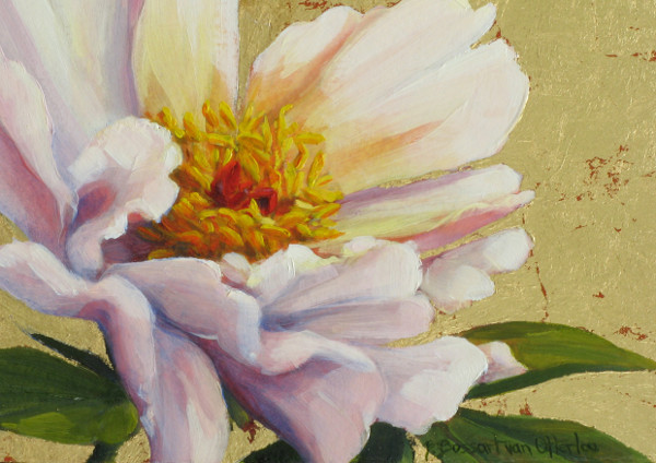 Ballerina Peony on Gold