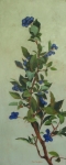 Blueberry Branch