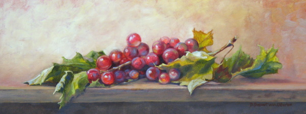 Catawba Grapes