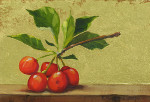 Cherries on Ledge I