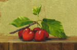 Cherries on Ledge II