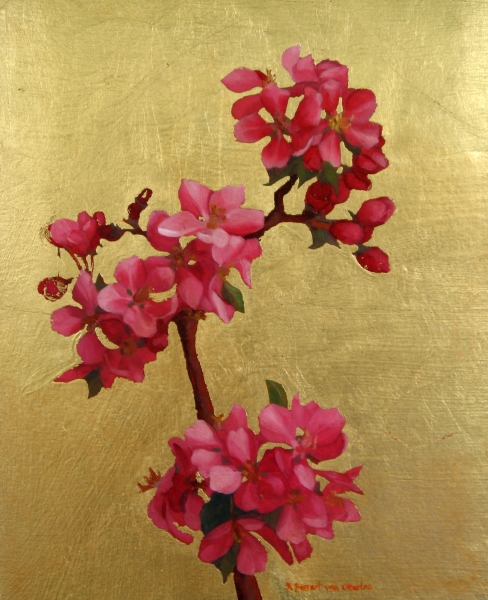 Cherry Blossoms