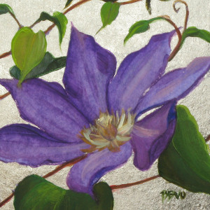 Clematis II