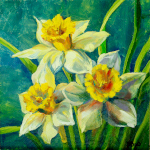 Daffodil Trio