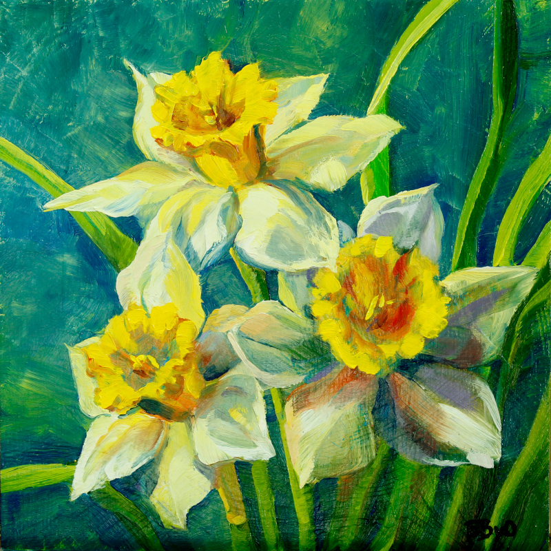 Daffodil Trio