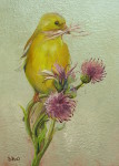 Goldfinch on Thistle