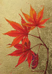 Japanese Maple Branch