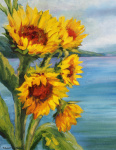 Keuka Lake Sunflowers