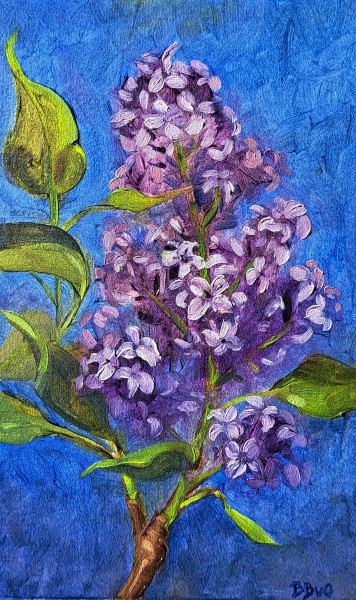 Lilac Study