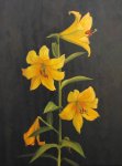 Mary's Lilies