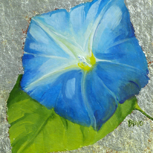 Morning Glory I