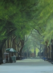 Morning on the Mall