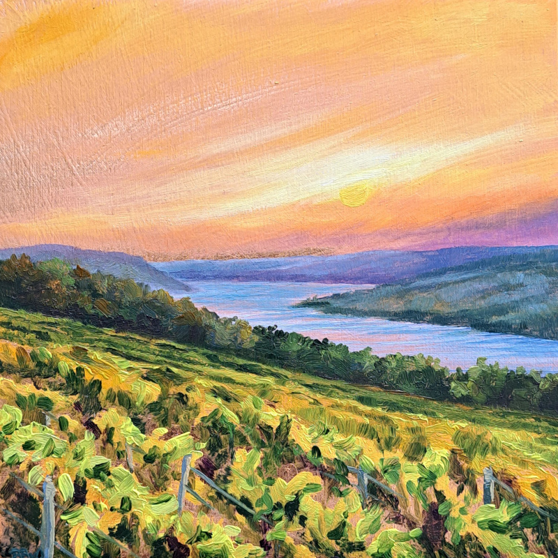 Vineyard View