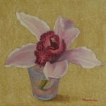 Orchid in Shot Glass