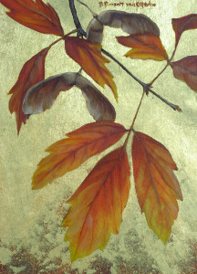 Paper Maple I