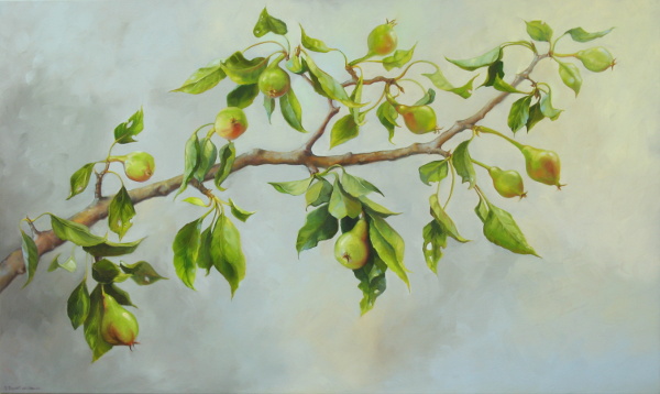 Pear Branch