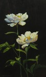 Peony Couple