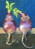 Study for Turnips