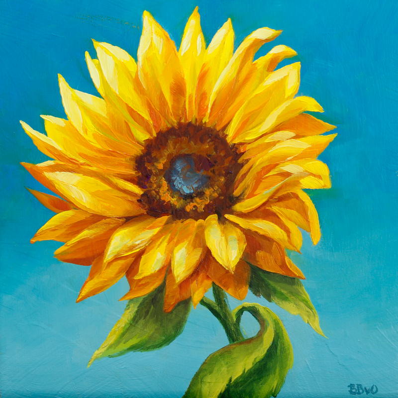 Sunflower and Blue Sky